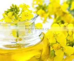 Sunflower Oil Extraction Machine thumbnail-4