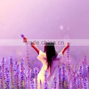 500 ml Liquid Hand Soap Msds thumbnail-2