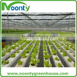 Hydroponics Greenhouse thumbnail-1