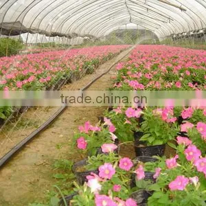 32 mm Ground Sprinkler Hose PE Lay Flat Hose for Irrigation thumbnail-1
