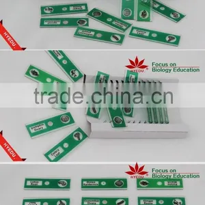 Butterfly W.m. Slides, Glass Prepared Slides,Butterfly Mouthpart Prepared Slides thumbnail-2