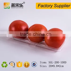 Disposable Plastic Food Packaging Tray thumbnail-3