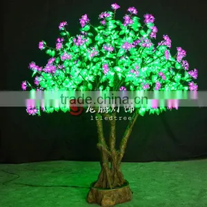 Bonsai Flowering Cherry Tree thumbnail-1