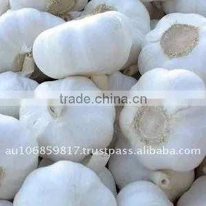 PURE WHITE GARLIC thumbnail-1