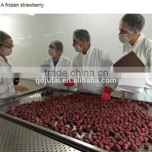 IQF Strawberries Whole thumbnail-3