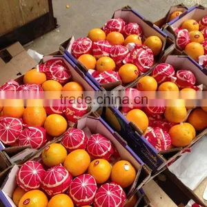 L'orange From Egypt thumbnail-1