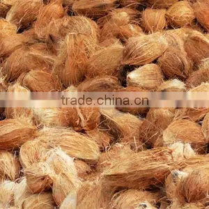 Best Semi Husked Supplier for Mauritius thumbnail-1
