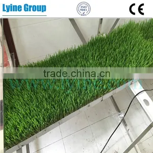 High Quality Hydroponics Fodder Wheat Grass Bean Barley Growing Tray Plastic Flat Pallet thumbnail-1