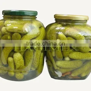 Best Selling Vietnam Pickled Gherkins in Brine in Bulk for Export by HAGIMEX thumbnail-4