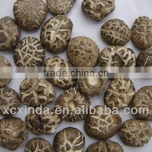 Dried Spring Mushrooms thumbnail-1