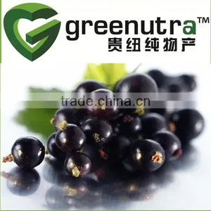 5%-35% Anthocyanidin Blackcurrant Extract thumbnail-1