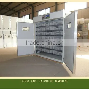 2000 Turky Hatching Machine/egg Incubator and Hatcher for Sale in European thumbnail-1
