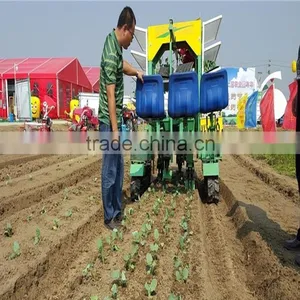 Chinese Onion Planter thumbnail-6