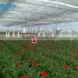 Chengdu BaoLiDa Low Price 20 Micron Polythene Greenhouse pe Film Greenhouse thumbnail-1