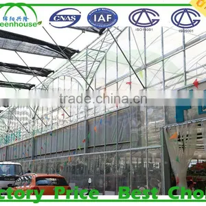 Garden Glass Greenhouse Panels thumbnail-1