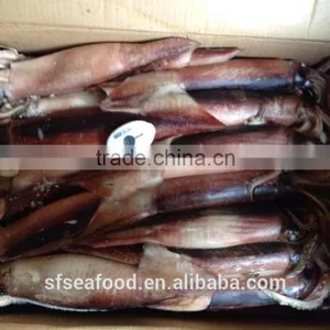 Chicharon of Japanese Squid thumbnail-1