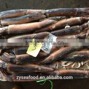 HACCP Frozen Cargo Argentine Squid by Glazing thumbnail-3