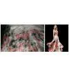 Silk Fabric Silk Georgette thumbnail-1