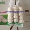 Jinxiang Fresh Garlic thumbnail-1