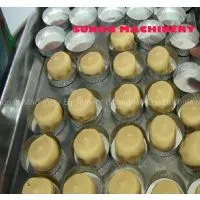 Pineapple Making Machine thumbnail-2