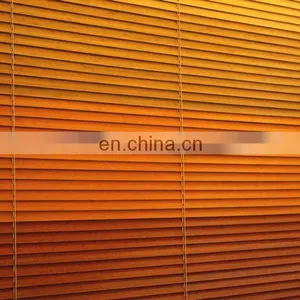 Mini Blinds thumbnail-1