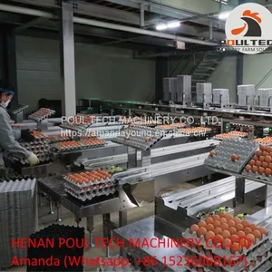 Automatic Egg Grading Machine thumbnail-1