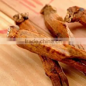 100% Sun Dry Korean Ginseng Slice Insam/ninjin Slices Tea thumbnail-4