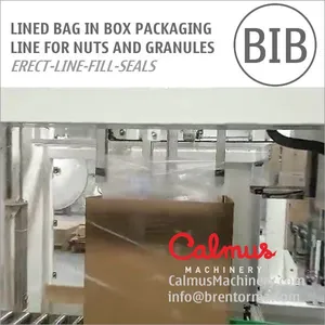 Carton Liner Bag in Box Line for Packaging Nuts and Granules thumbnail-4