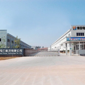 Wuhan Deya Power Technology Co., Ltd company overview - view 1 thumbnail