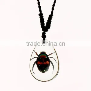 New Wholesale Fashion Lovely Necklace With Real Insect thumbnail-1
