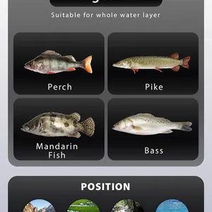 Floating Minnow-GDWF06-90mm/10g thumbnail-5