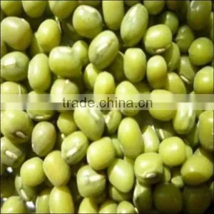 Green Mung Beans thumbnail-1