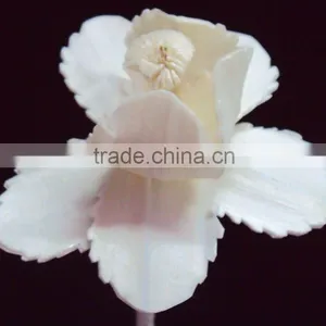 Sola Wood Flower thumbnail-1