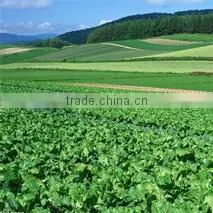 Anqiu Luda International Trade Co., Ltd. company overview - view 2 thumbnail