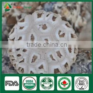 Organic Shiitake Nutritious and Medicinal Edibal Mushroom Lentinula Edodes thumbnail-1