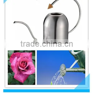 Stainless Steel Watering Pot thumbnail-1