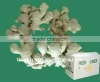 Chinese Ginger thumbnail-1