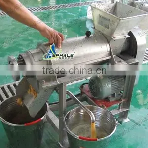 Small Capacity 0.5t/h Fruit Beating Machine thumbnail-5