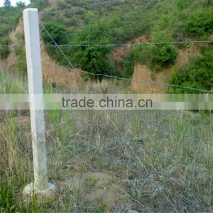 Electro/Hot Dipped Galvanized Double Line Barbed Wire thumbnail-6