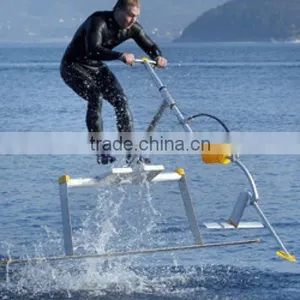 Water Bird, Water Bird Price, Water Bird for Sale thumbnail-4