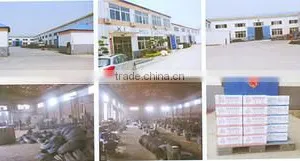 Tianjin Everwins Logistics Development Co., Ltd. company overview - view 3 thumbnail