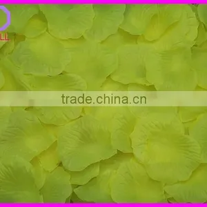 Preserved Natural Rose Petals thumbnail-4