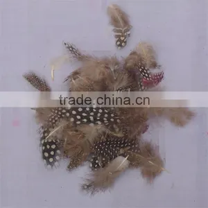 2016 The Colorful / Beautiful Pearl Feather thumbnail-2