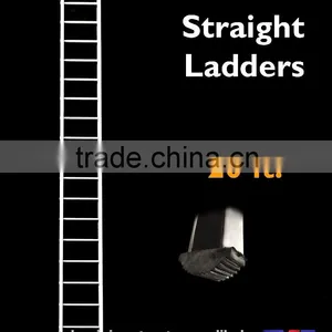 Aluminium 1-Section Straight Ladders 20 Ft. thumbnail-1