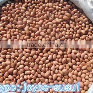 Chinese Java Peanuts Kernels thumbnail-1