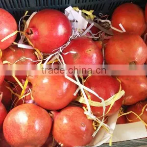 New Arrival of Fresh Pomegranate Fruit Supplier in India / Malaysia / Singapore / Dubai / Maldives / Sri Lanka thumbnail-2