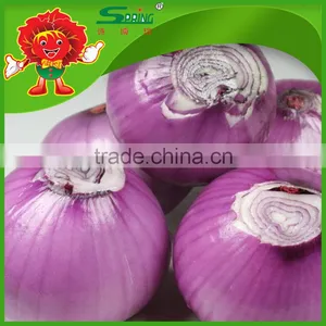 Cheap Onion From China Color Red and Yellow Types Red Onions thumbnail-3