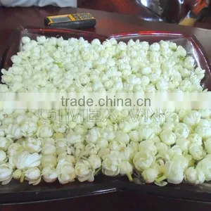 Jasmine TEA OF Gimex Viet Nam thumbnail-1
