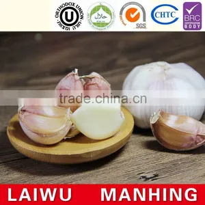 China Normal White Fresh Garlic for Hot Selling thumbnail-1