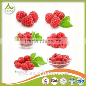 Golden Supplier of Top Quality IQF Frozen Raspberry thumbnail-1